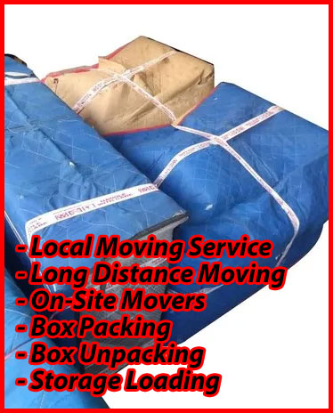 Packers And Movers Noida Sector 148